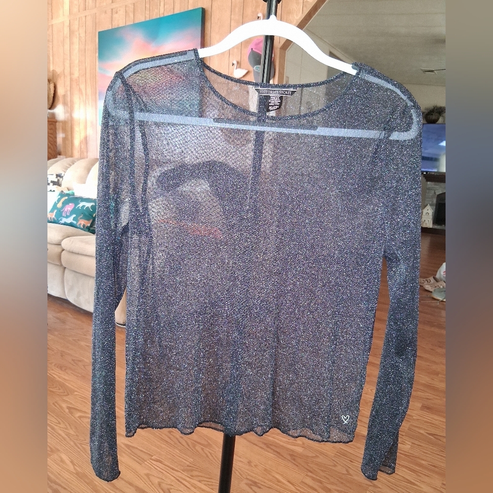 Sheer Blue Long Sleeve Top
